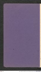 Seite 2, Tagebuch "Umgebung von Krems | Scheibenhof | Stein-Neol. (hinten) (NHMW-PRAE-BBB-39)